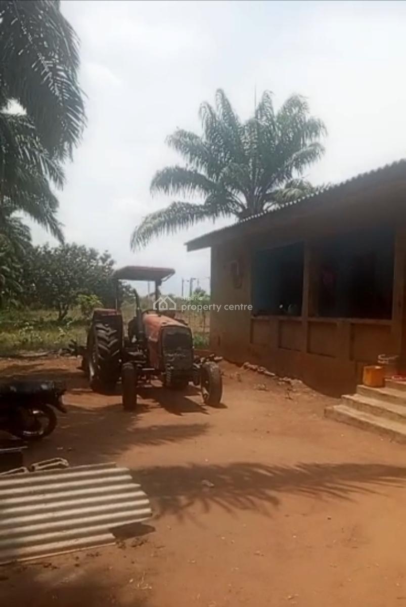 82,817 Acres of Palm Trees Farm Land, Agbara-atan Road, Abeokuta South, Ogun, Commercial Land for Sale