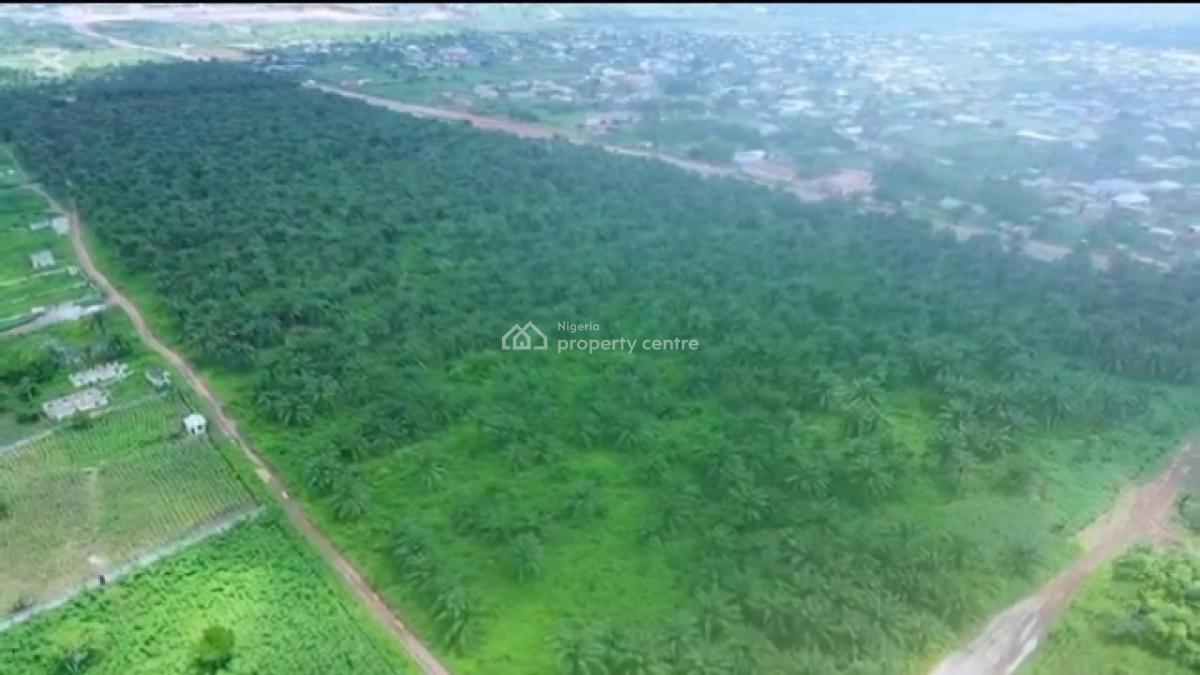82,817 Acres of Palm Trees Farm Land, Agbara-atan Road, Abeokuta South, Ogun, Commercial Land for Sale