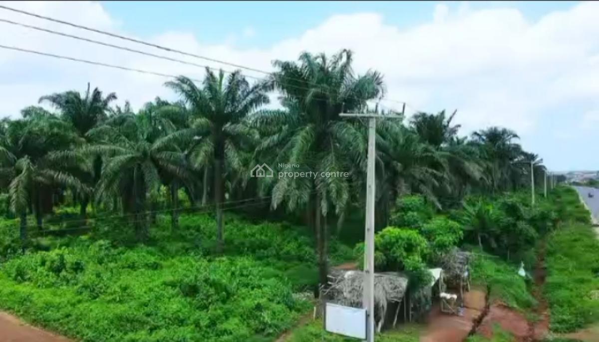 82,817 Acres of Palm Trees Farm Land, Agbara-atan Road, Abeokuta South, Ogun, Commercial Land for Sale