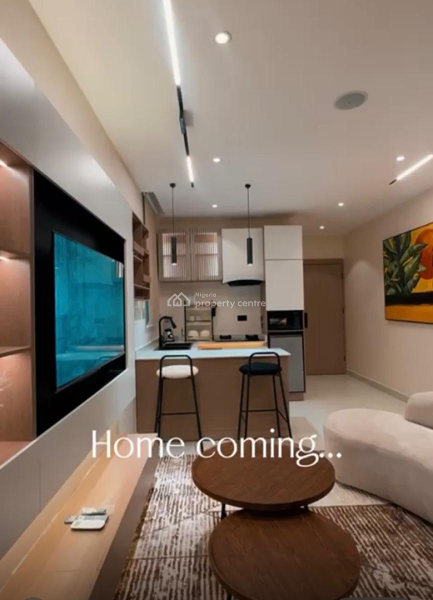 Premium Furnished 2 Bedroom Apartment -- Ideal for Investment, Fully Furnished with Smart Home Automation in a Busy Environment, Surulere, Lagos, Block of Flats for Sale