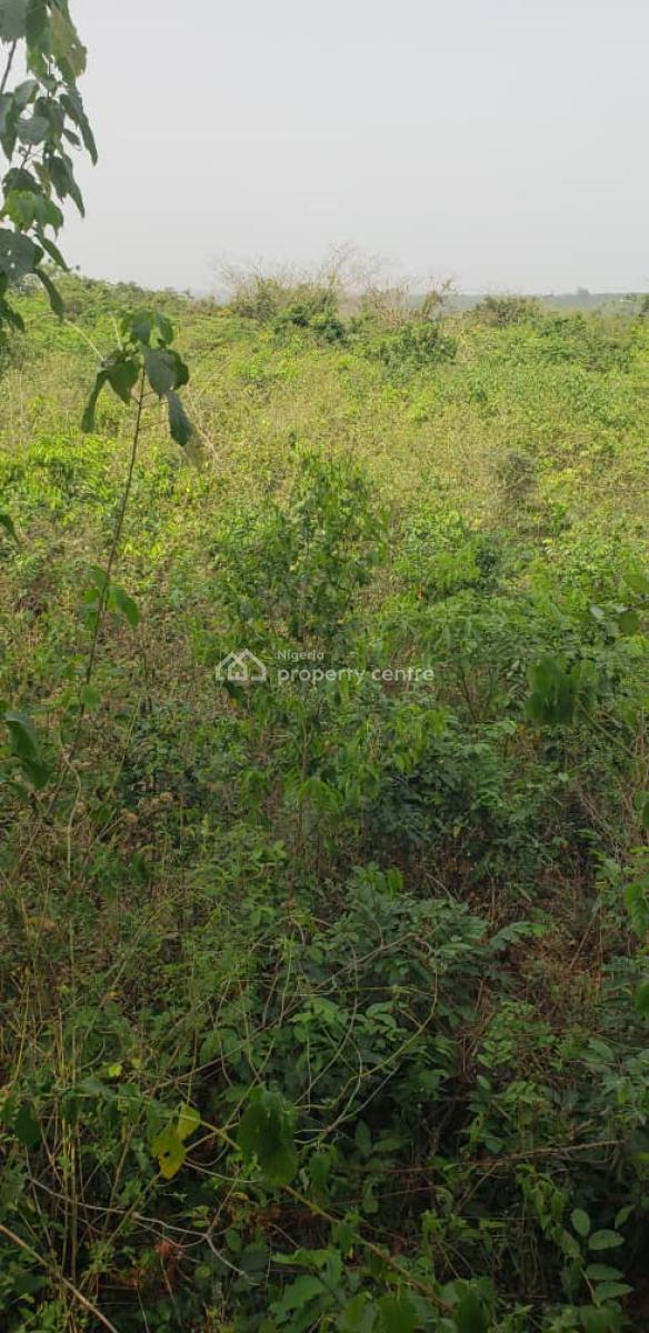 Plots of Fertile Farmland Available for Your Agricultural Project, Mokoloki, Mowe Town, Ogun, Mixed-use Land for Sale