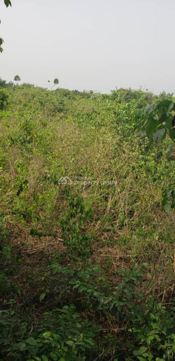 Plots of Fertile Farmland Available for Your Agricultural Project, Mokoloki, Mowe Town, Ogun, Mixed-use Land for Sale