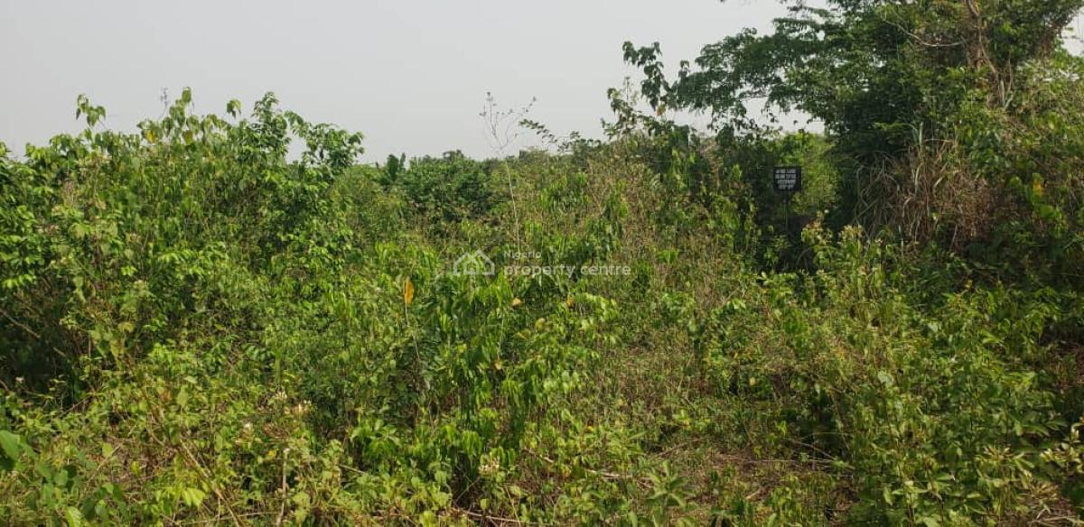 Plots of Fertile Farmland Available for Your Agricultural Project, Mokoloki, Mowe Town, Ogun, Mixed-use Land for Sale