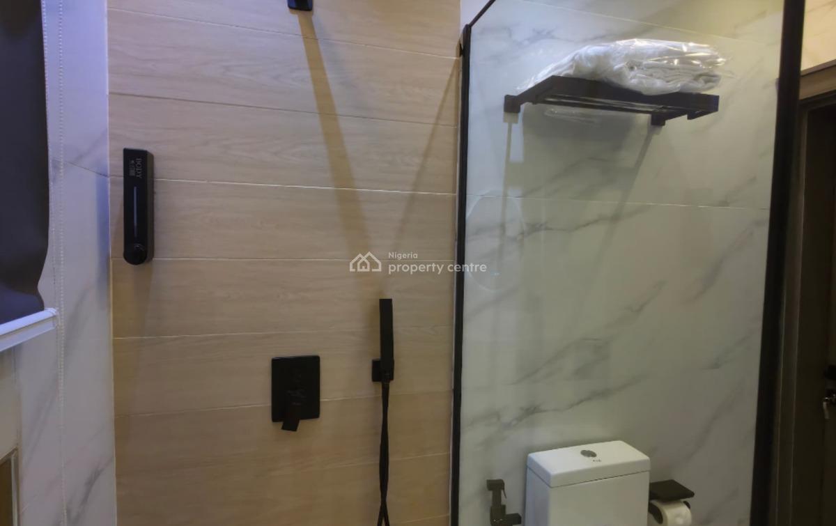 Nicely Furnished Studio Apartment, Jabi, Abuja, Flat / Apartment Short Let