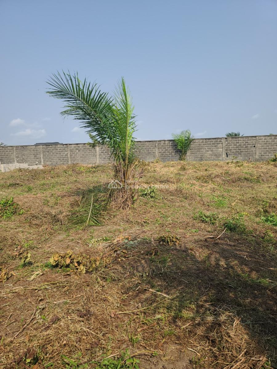 Land with C of O in a Beautiful Environment, Monastery Road Close to Pearl Gardens Estate, Sangotedo, Ajah, Lagos, Mixed-use Land for Sale