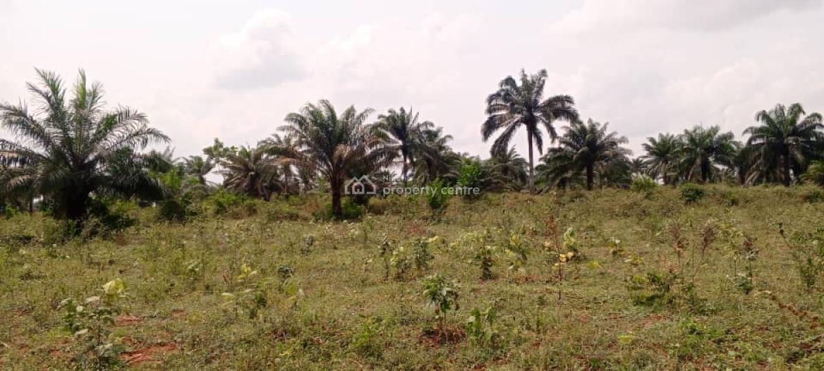 Acres of Land for Giveaway Prices, Lusada, Agbara-igbesa, Lagos, Mixed-use Land for Sale