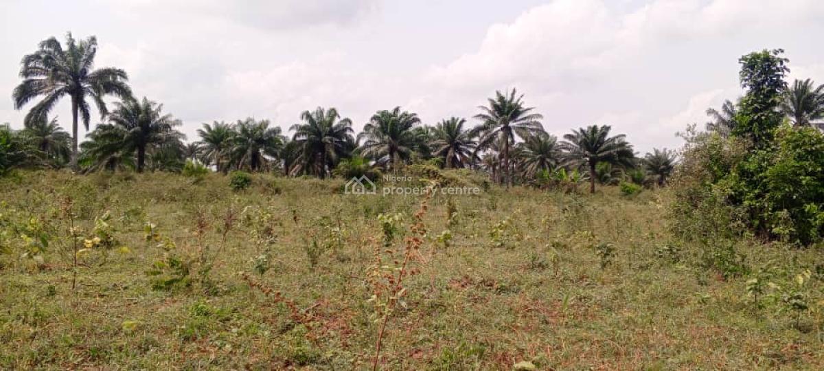 Acres of Land for Giveaway Prices, Lusada, Agbara-igbesa, Lagos, Mixed-use Land for Sale