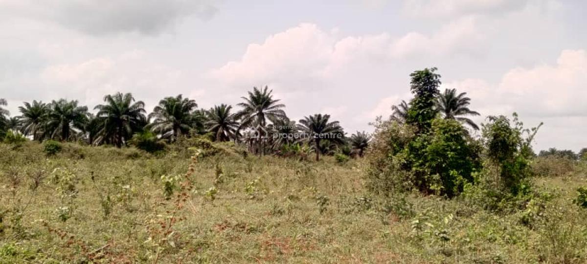 Acres of Land for Giveaway Prices, Lusada, Agbara-igbesa, Lagos, Mixed-use Land for Sale
