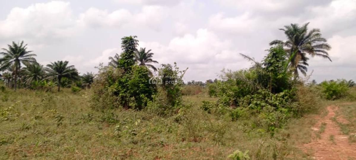 Acres of Land for Giveaway Prices, Lusada, Agbara-igbesa, Lagos, Mixed-use Land for Sale