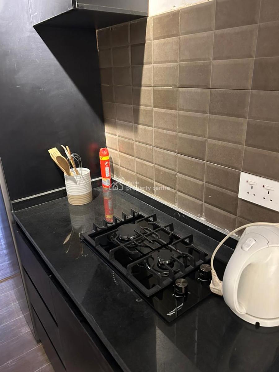 Nicely Furnished 1 Bedroom Apartment, Surulere, Lagos, Flat / Apartment Short Let