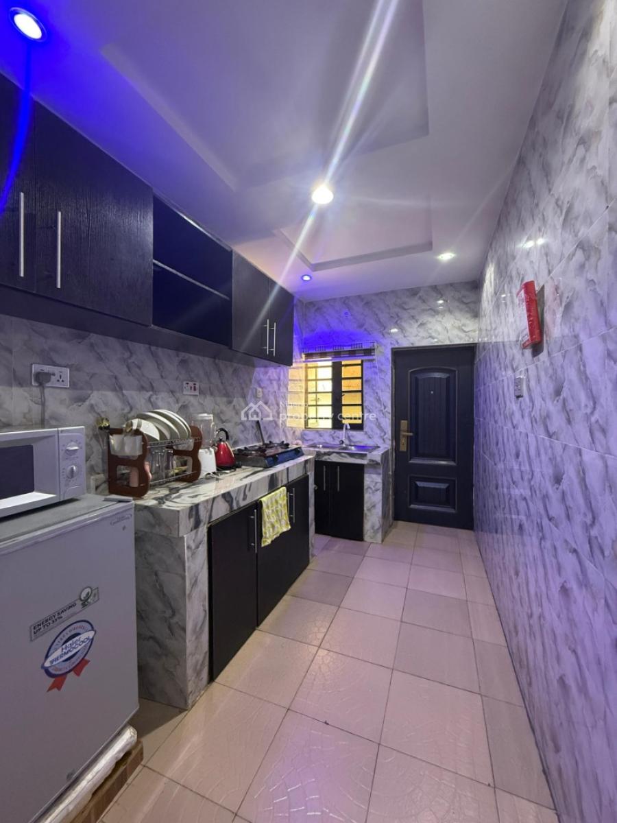 Nicely Furnished 2 Bedroom Apartment, Surulere, Lagos, Flat / Apartment Short Let