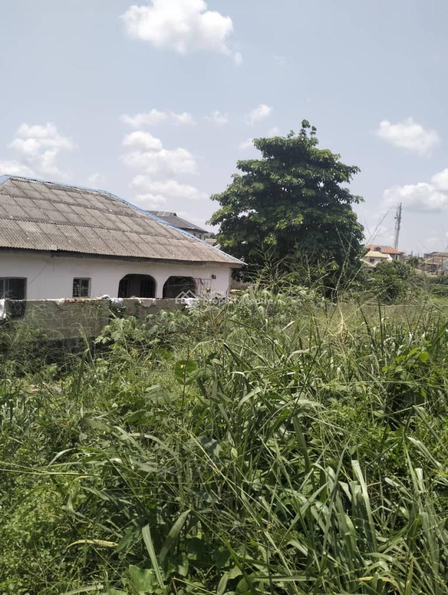 40ft By 140ft Land Fence Round at Off Lanre Bus Stop Lasu Igando Road, Alafia Street Off Collins Street Lanre Bus Stop Lasu Igando, Alimosho, Lagos, Mixed-use Land for Sale