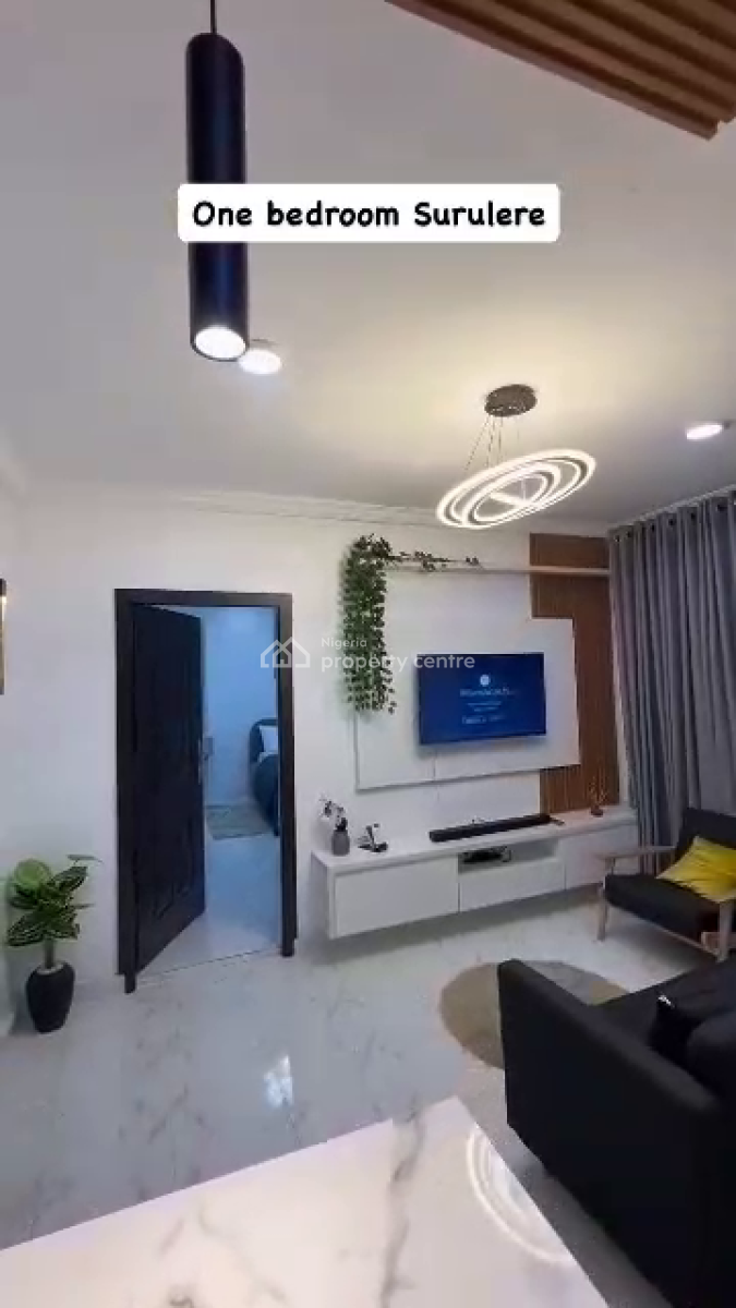 Nicely Furnished 1 Bedroom Apartment, Surulere, Lagos, Flat / Apartment Short Let