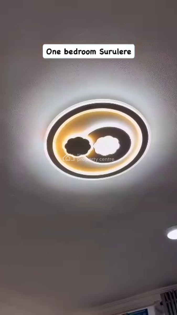 Nicely Furnished 1 Bedroom Apartment, Surulere, Lagos, Flat / Apartment Short Let