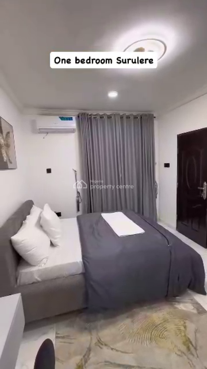 Nicely Furnished 1 Bedroom Apartment, Surulere, Lagos, Flat / Apartment Short Let