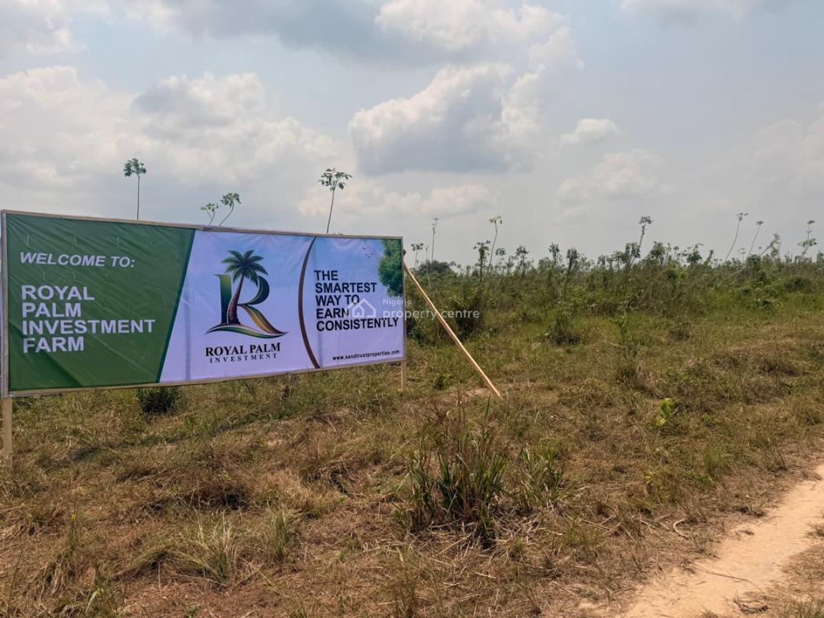 Investment Land with High Appreciation Potential in Palm Tree, Royal Palm Investment, Odogbolu, Ogun, Commercial Land for Sale