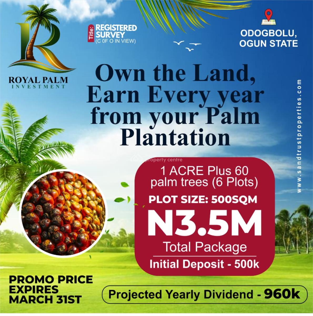 Investment Land with High Appreciation Potential in Palm Tree, Royal Palm Investment, Odogbolu, Ogun, Commercial Land for Sale
