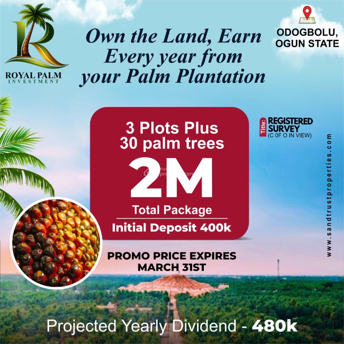 Investment Land with High Appreciation Potential in Palm Tree, Royal Palm Investment, Odogbolu, Ogun, Commercial Land for Sale