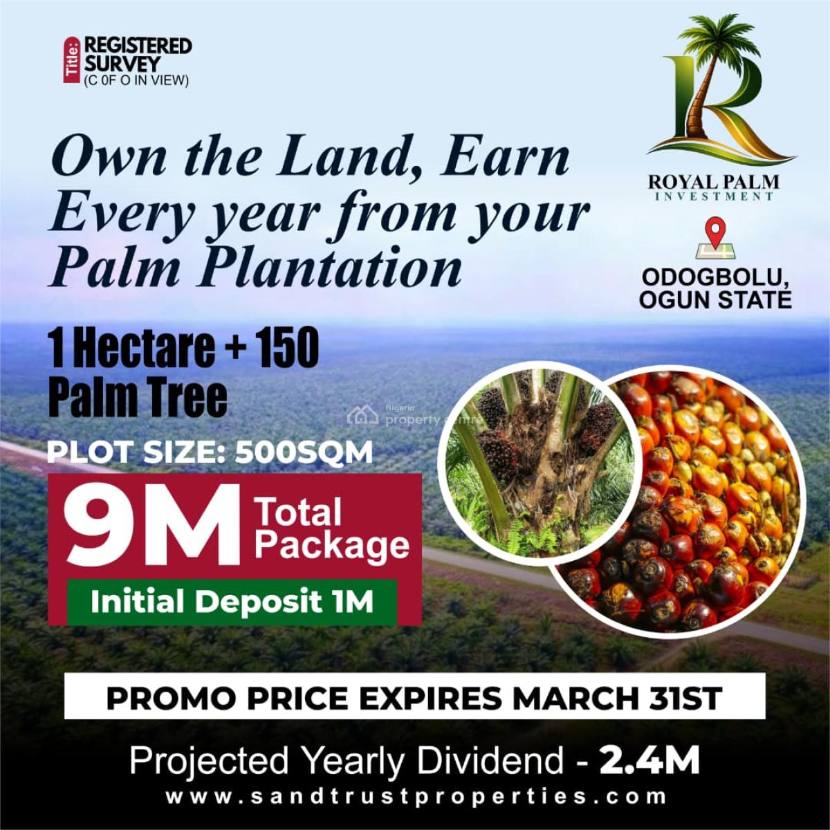 Investment Land with High Appreciation Potential in Palm Tree, Royal Palm Investment, Odogbolu, Ogun, Commercial Land for Sale