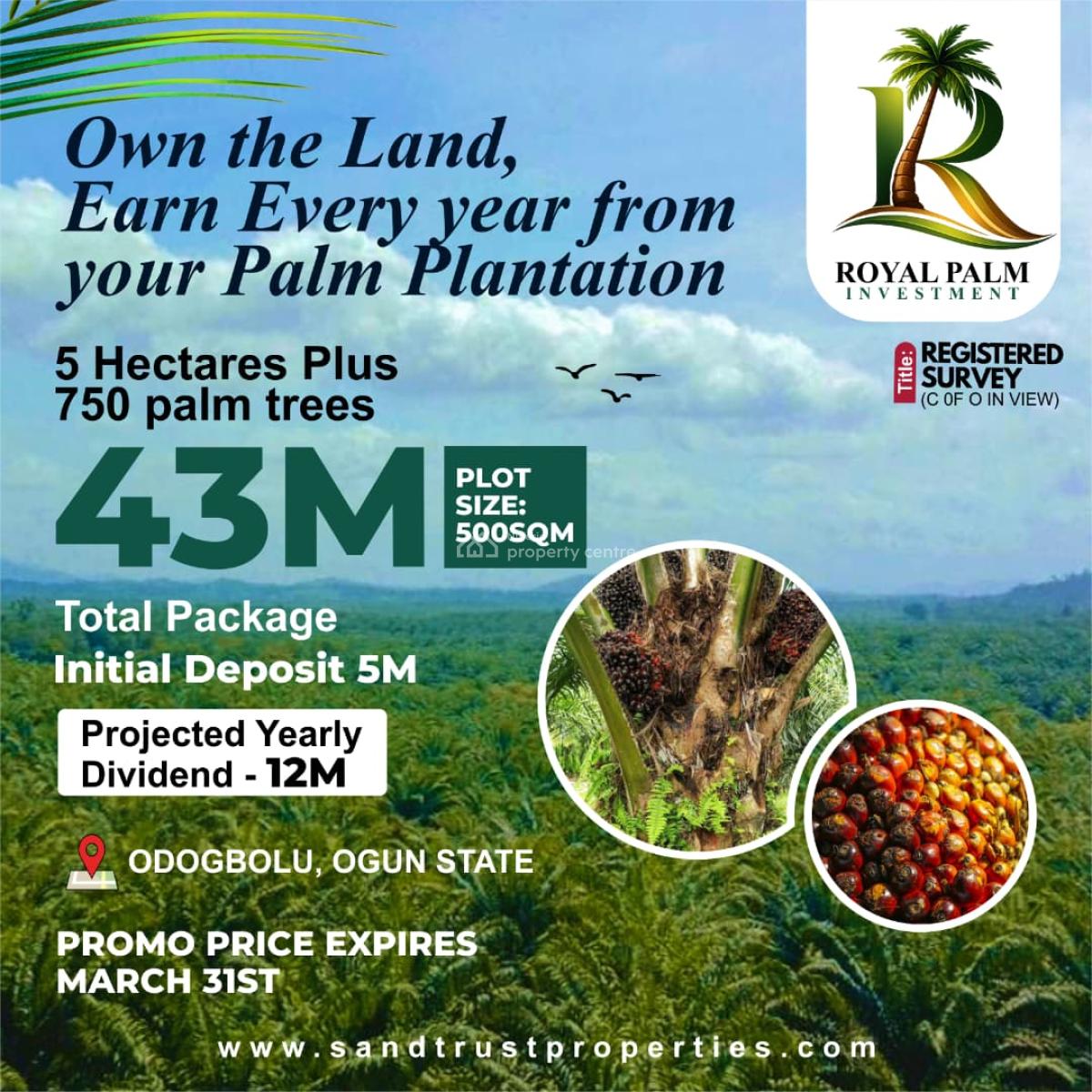 Investment Land with High Appreciation Potential in Palm Tree, Royal Palm Investment, Odogbolu, Ogun, Commercial Land for Sale