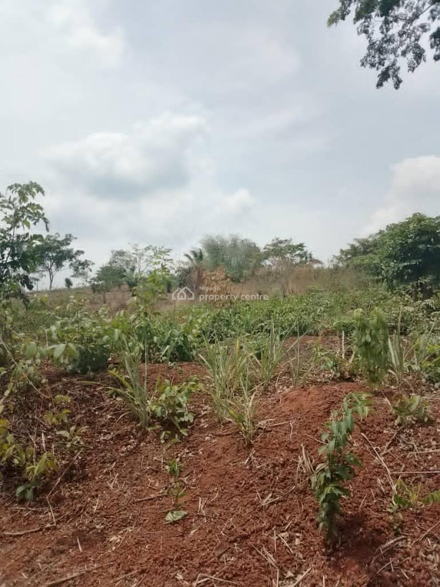 Prime One  Acre of Bareland Suitable for Commercial, Directly Facing Lekki Expressway, Abijo, Lekki, Lagos, Commercial Land for Sale