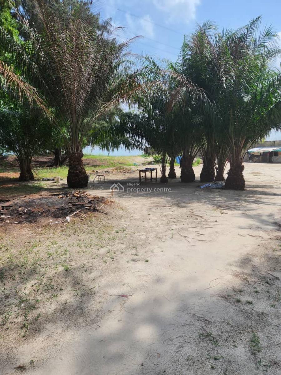 1000sqm Waterfront, Banana Island, Ikoyi, Lagos, Land for Sale