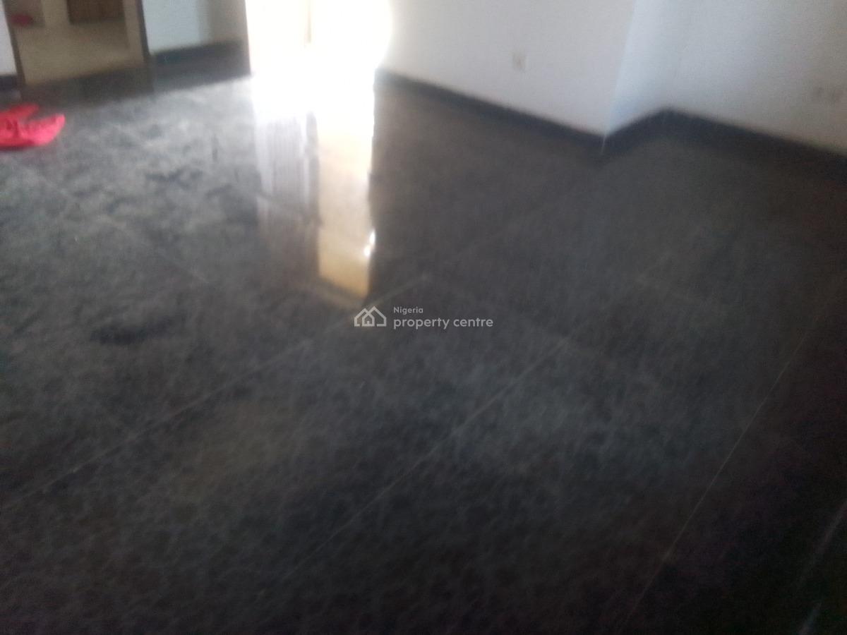 Spacious Luxury 2 Bedroom Flat with Excellent Features, Theranex/ Ogombo Rd, Ogombo, Ajah, Lagos, Flat / Apartment for Rent