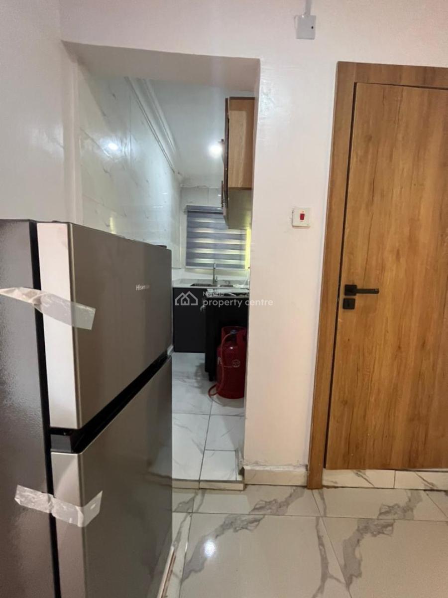 Fully Furnished Studio Apartment with Monthly Income in Akoka, Akoka, Yaba, Lagos, Self Contain (single Rooms) for Sale