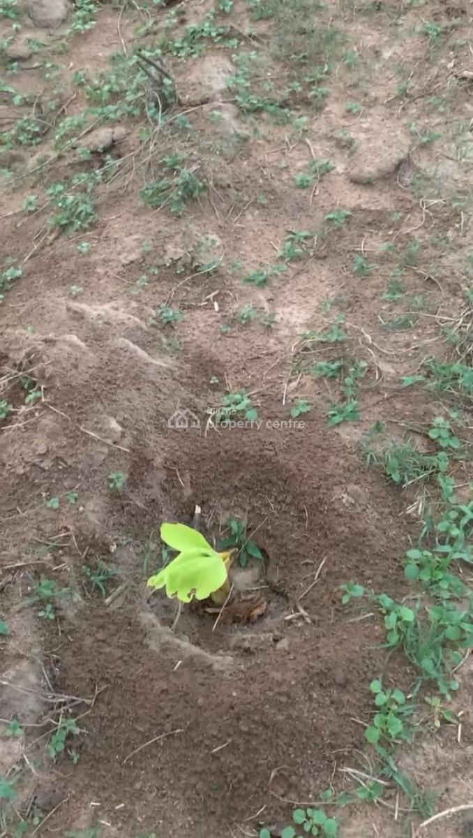 Most Affordable Farmland in a Secure & Gated Estate with High Returns, Make Money From Cocoa and Plaintain Farming  , Start with 500k Deposit, Abeokuta South, Ogun, Mixed-use Land for Sale