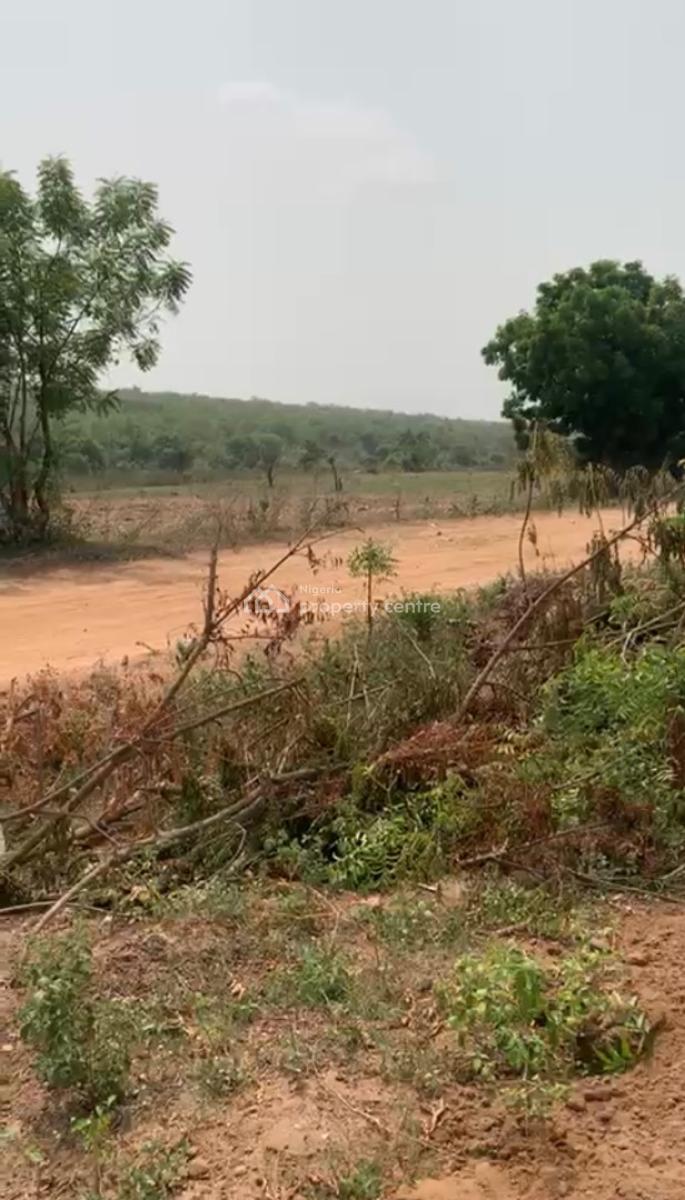 Fund Your Desired Lifestyle Though Massive Earnings From Agriculture, Fertile Farmland with Easy Acess to Crescent University&lafenwa Market, Abeokuta South, Ogun, Mixed-use Land for Sale