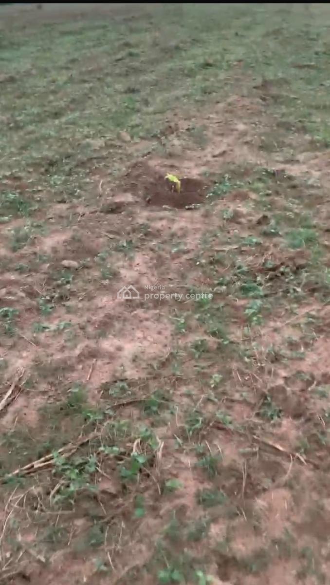 Fund Your Desired Lifestyle Though Massive Earnings From Agriculture, Fertile Farmland with Easy Acess to Crescent University&lafenwa Market, Abeokuta South, Ogun, Mixed-use Land for Sale