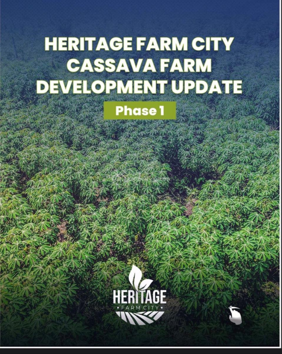 Affordable Farmland with a Promo Offer Close to  a Federal University, Earn Over 5 Million From Farming Annually, Alabata, Abeokuta North, Ogun, Mixed-use Land for Sale