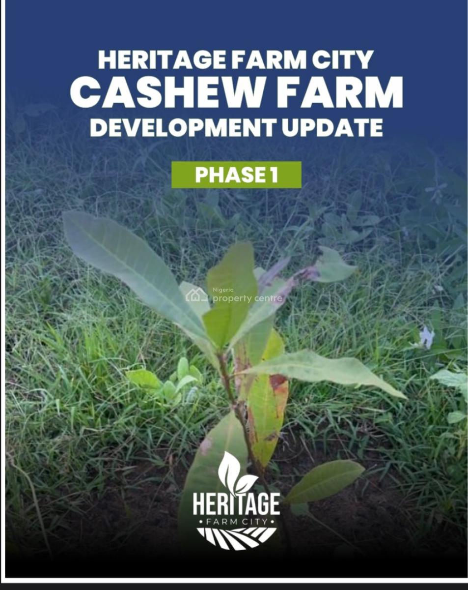 Affordable Farmland with a Promo Offer Close to  a Federal University, Earn Over 5 Million From Farming Annually, Alabata, Abeokuta North, Ogun, Mixed-use Land for Sale