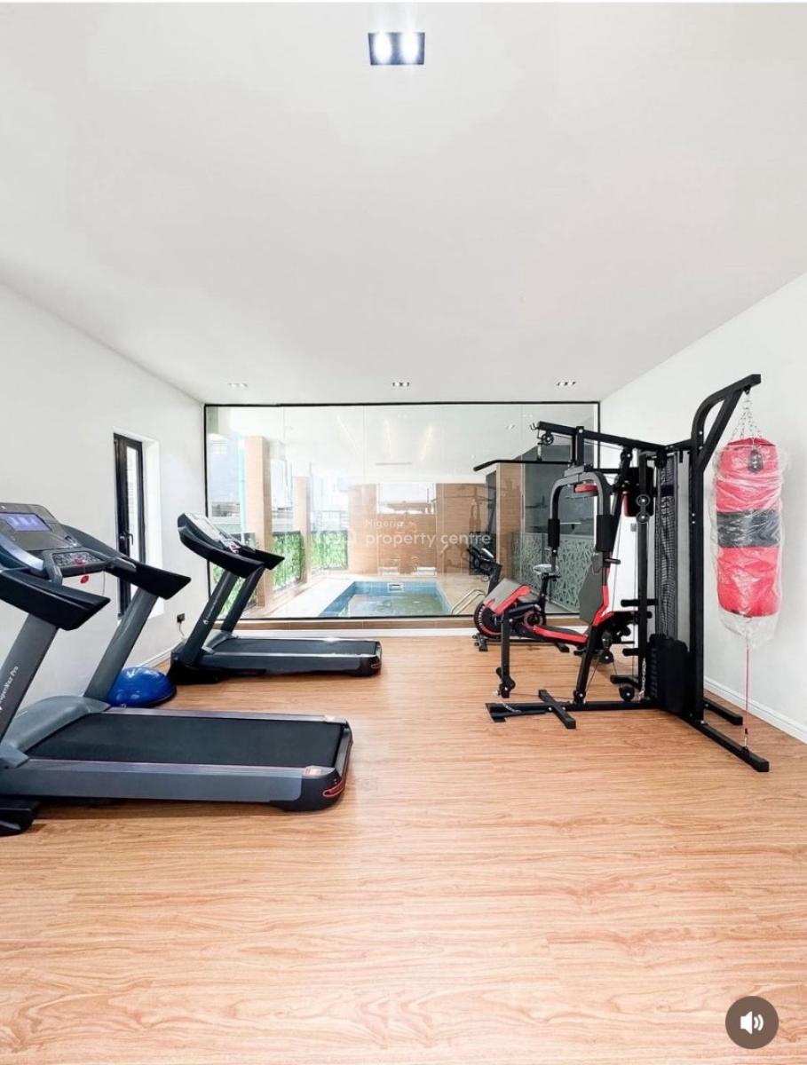 Ultra Modern Fully Furnished 2bed Apartment with Pool,  Gym N Elevator, Ikate, Lekki, Lagos, Flat / Apartment for Rent