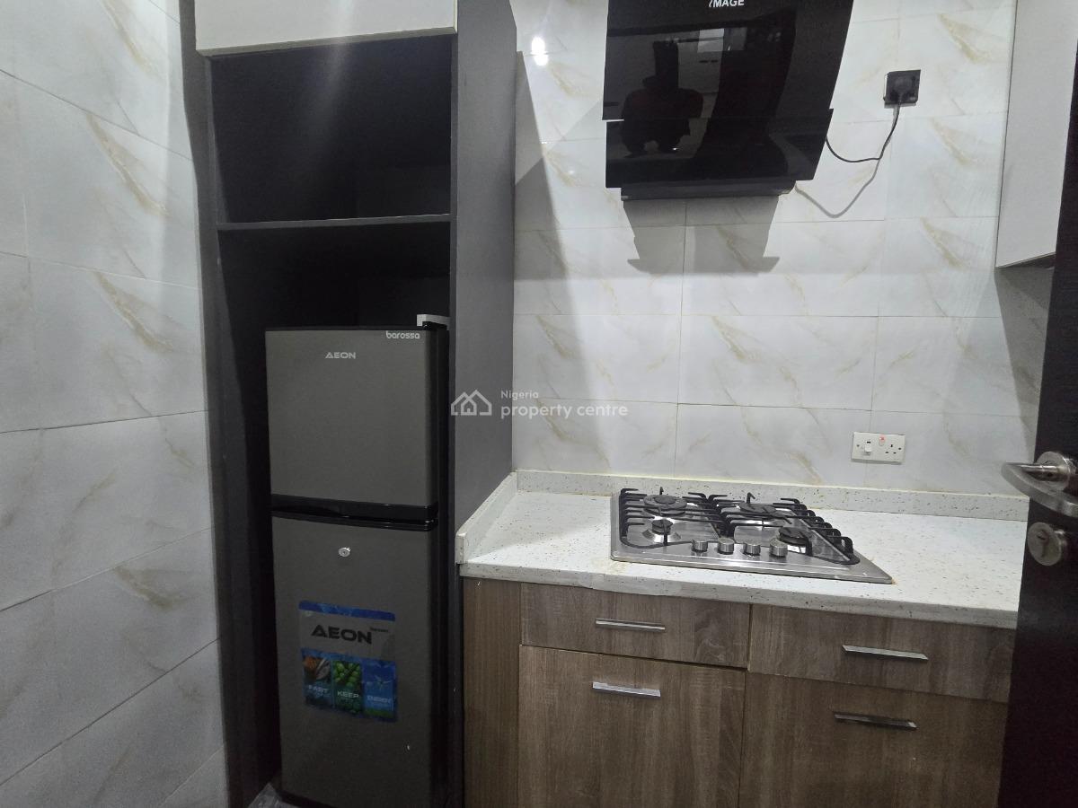 Fully Furnished & Serviced Ten (10) Units of Miniflats, Lekki Phase 1, Lekki, Lagos, Mini Flat (room and Parlour) for Rent