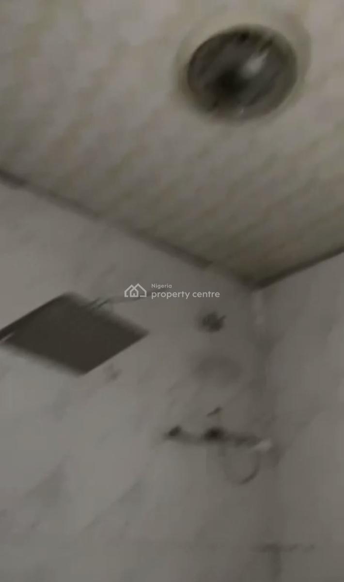 Newly Built Spacious 2 Bedroom Apartment, Masha, Surulere, Lagos, Flat / Apartment for Rent