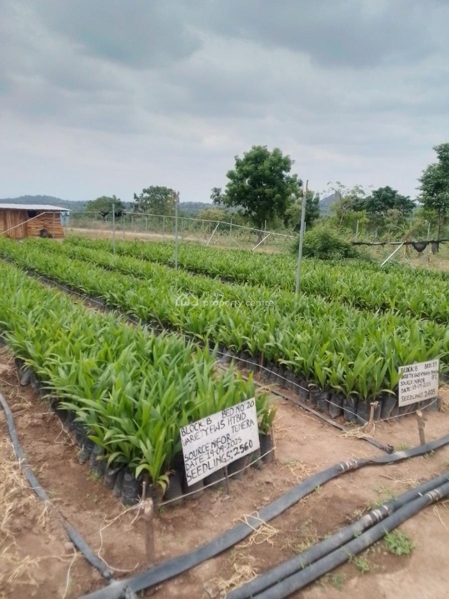 Land, Dananu, Ogbomosho South, Oyo, Land for Sale