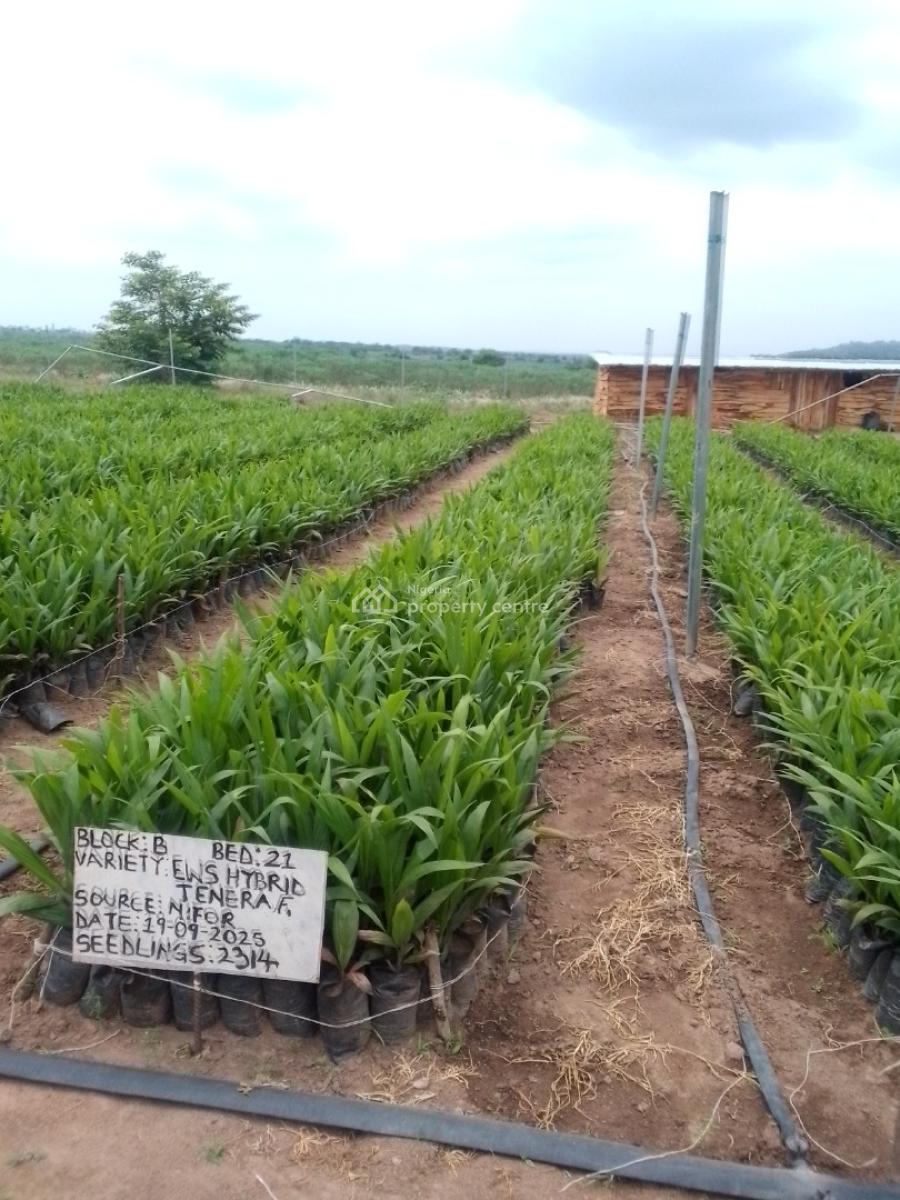 Land, Dananu, Ogbomosho South, Oyo, Land for Sale