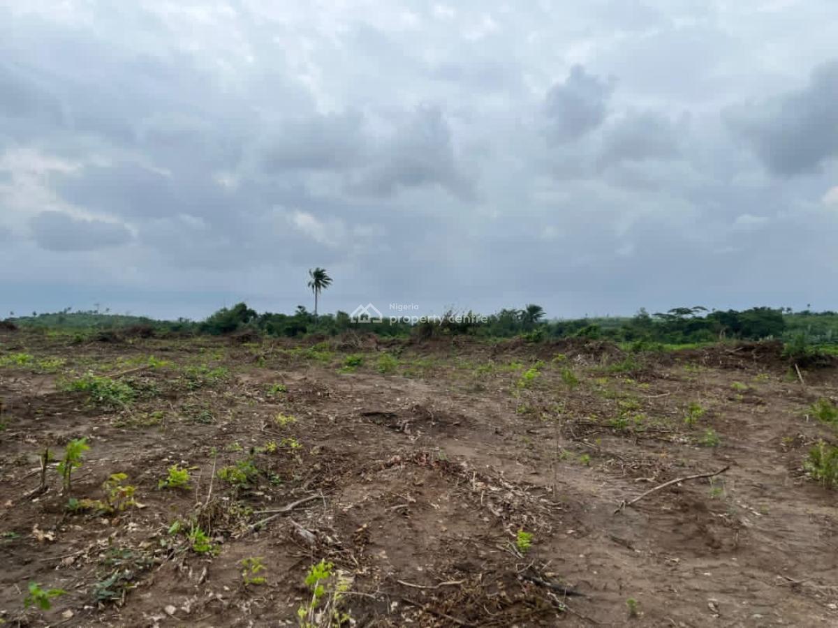 600 Sqm Farmland, Isiwo, Km 46, Ogun, Land for Sale