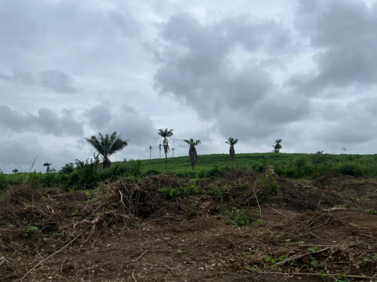 600 Sqm Farmland, Isiwo, Km 46, Ogun, Land for Sale