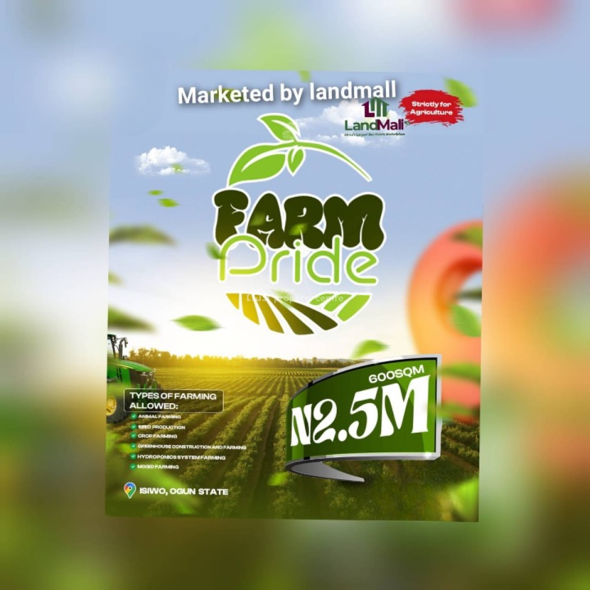 600 Sqm Farmland, Isiwo, Km 46, Ogun, Land for Sale