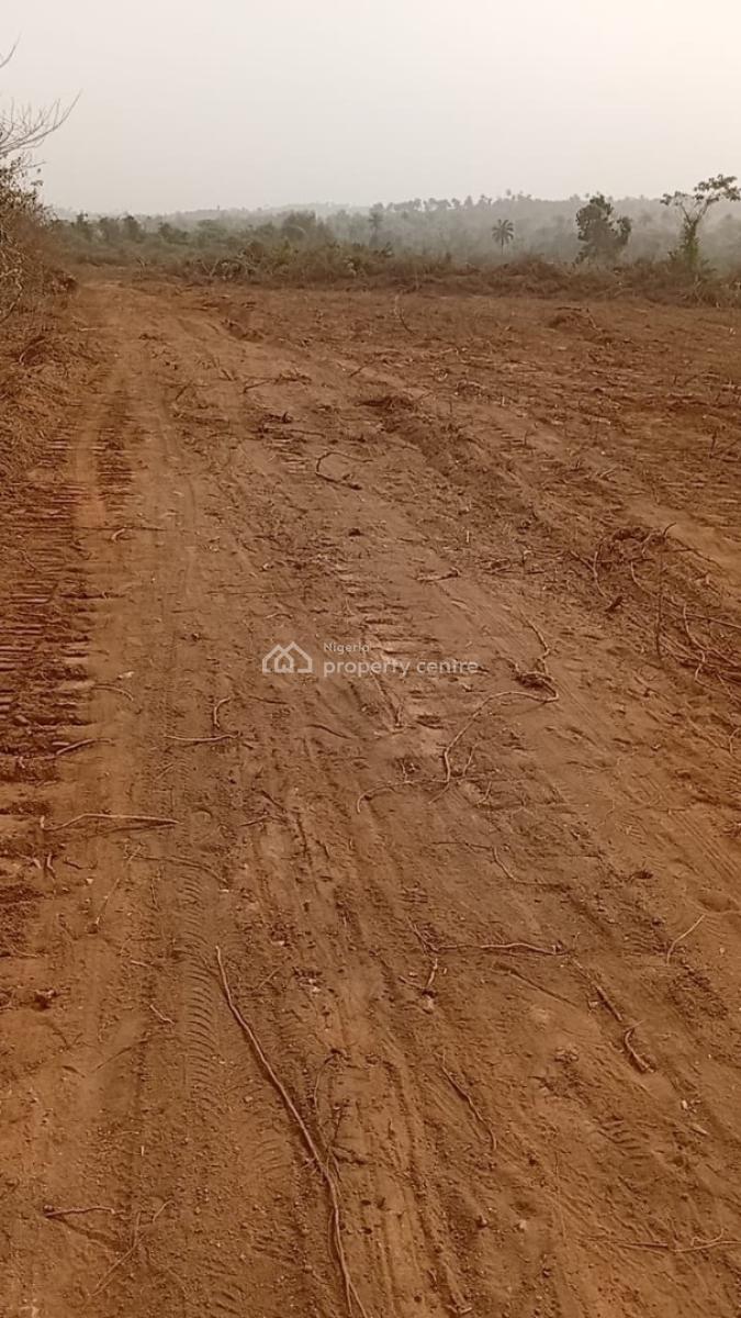 1 Hectare of Coconut Farmland, Obafemi Owode, Ogun, Land for Sale