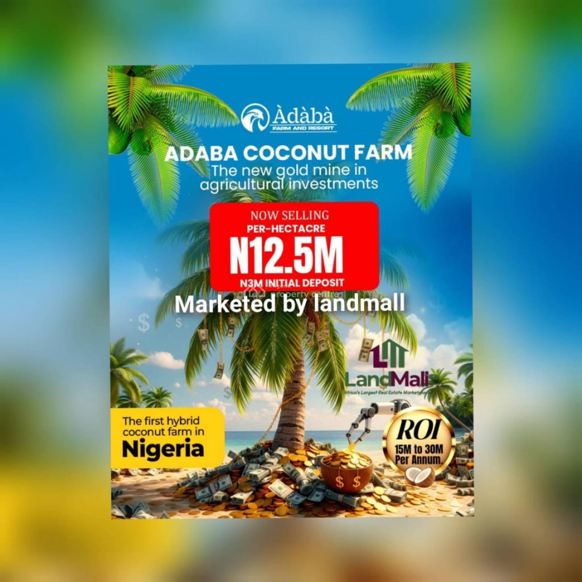 1 Hectare of Coconut Farmland, Obafemi Owode, Ogun, Land for Sale