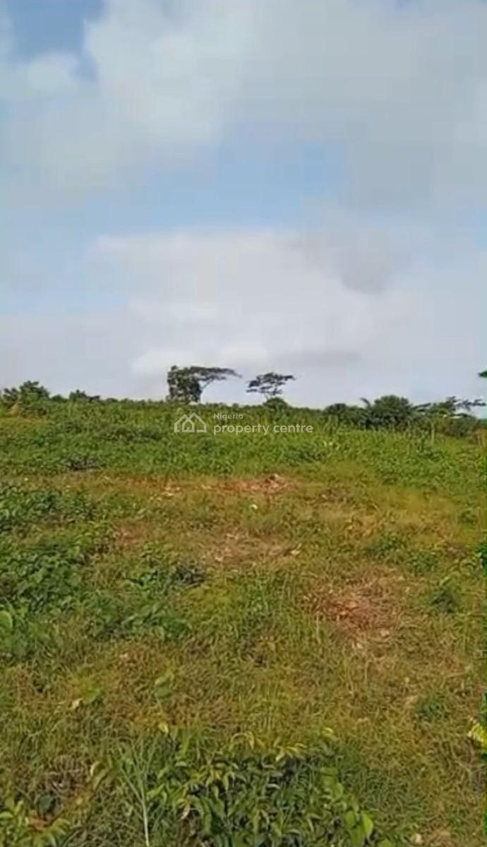 One Full Plot of Dry Land Available, Moweibafo, Ofada Road , Located Directly Behind Yotomi Estate, Obafemi Owode, Ogun, Mixed-use Land for Sale