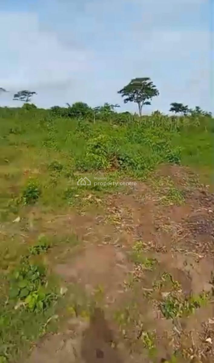 One Full Plot of Dry Land Available, Moweibafo, Ofada Road , Located Directly Behind Yotomi Estate, Obafemi Owode, Ogun, Mixed-use Land for Sale
