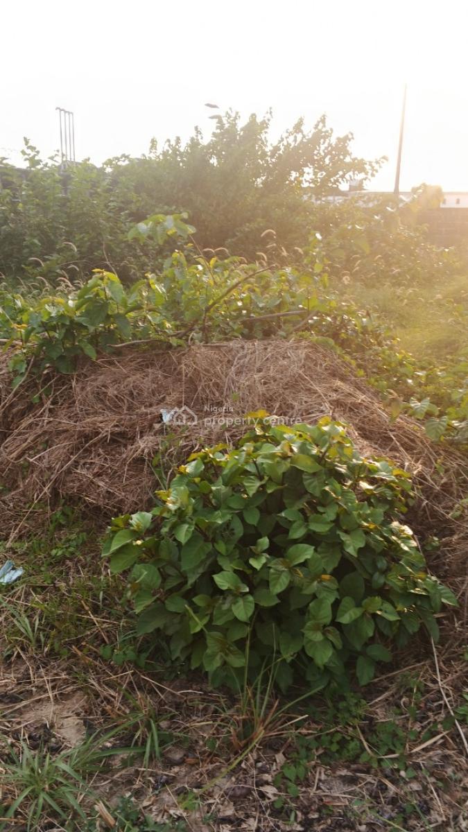 Land, Lekki Scheme 2 Estate, Lekki Phase 2, Lekki, Lagos, Commercial Land for Rent