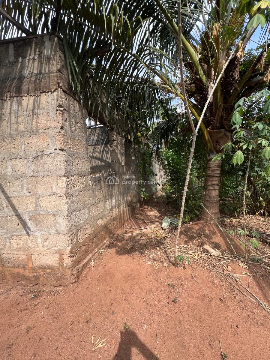 Half Acre with Oil Mill Structure, Otulu Main Road, Aniocha South, Delta, Factory for Sale