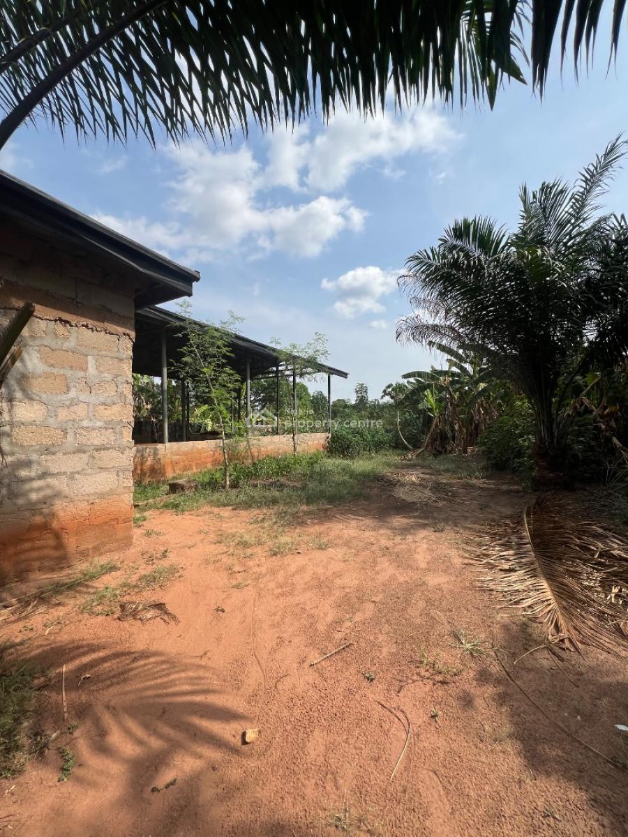 Half Acre with Oil Mill Structure, Otulu Main Road, Aniocha South, Delta, Factory for Sale