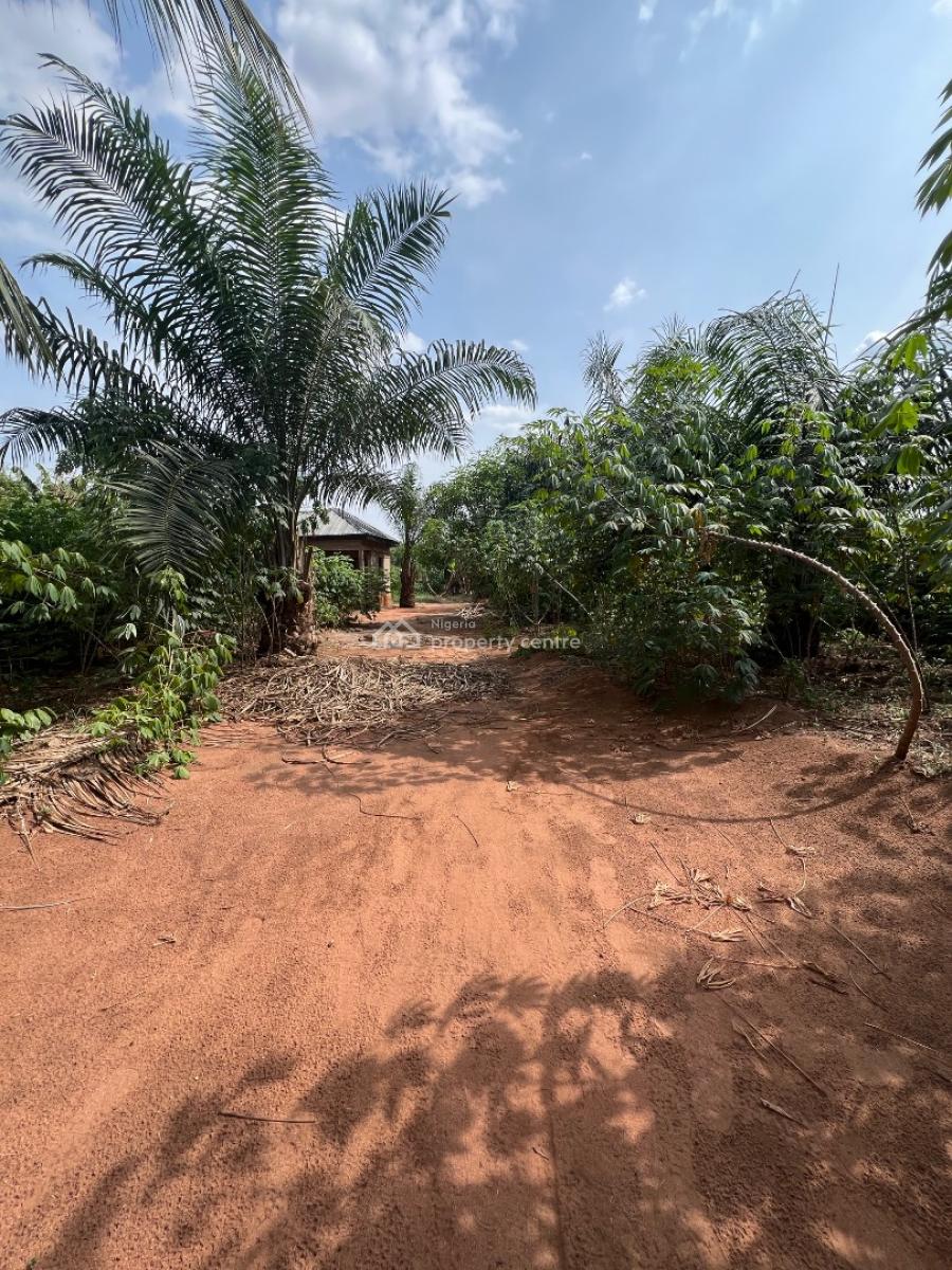 Half Acre with Oil Mill Structure, Otulu Main Road, Aniocha South, Delta, Factory for Sale