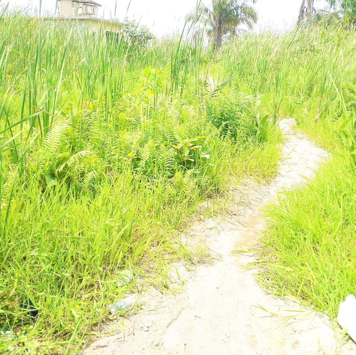 Nice and Standard Half Plot of Land, Kajola, Lakowe, Ibeju Lekki, Lagos, Residential Land for Sale